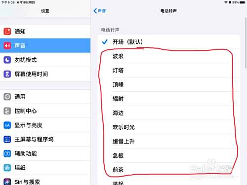 iPad怎么调节电话和短信的铃声