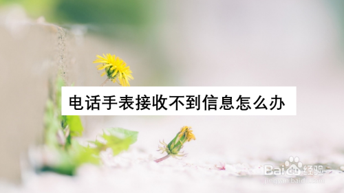 电话手表接收不到信息怎么办