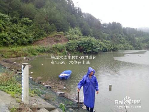 如何把图片贴上互联网