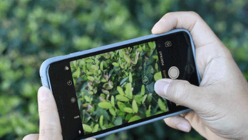 iphonex拍照技巧