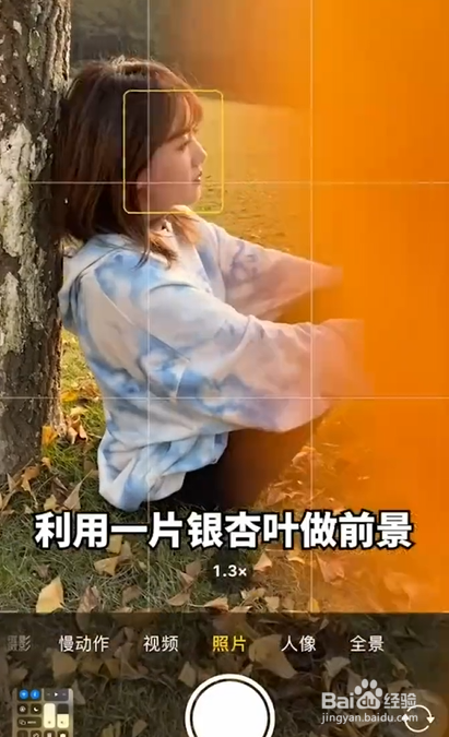 银杏树拍照技巧。