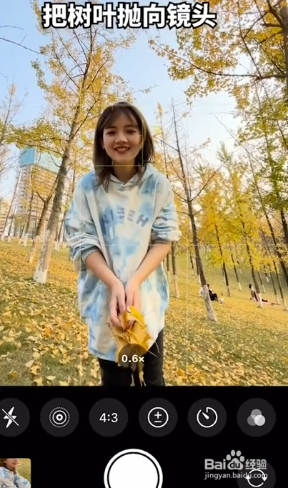 银杏树拍照技巧。