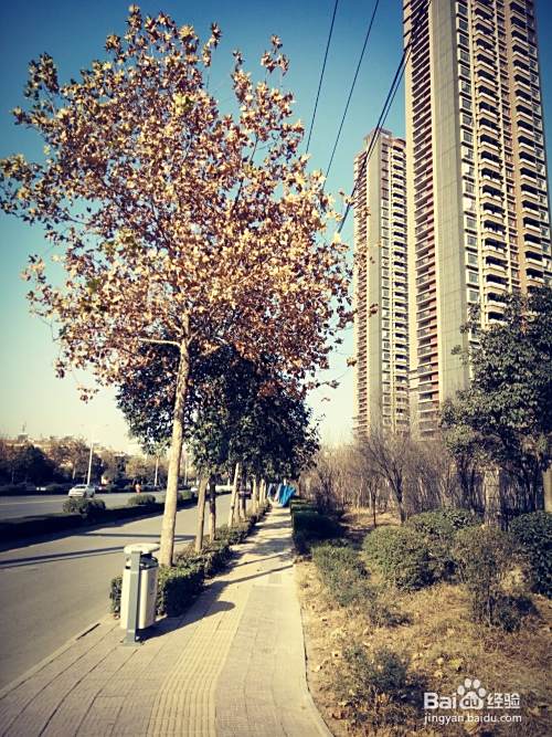 小米5s拍照技巧
