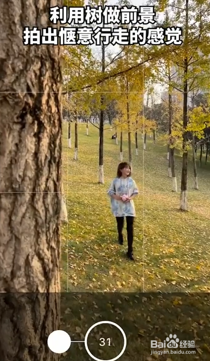 银杏树拍照技巧。