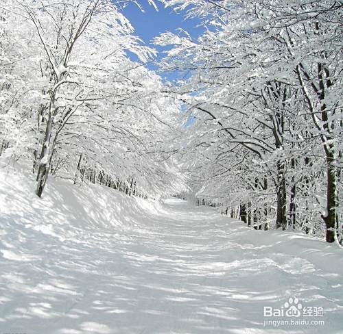 雪地拍照技巧