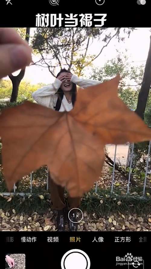 秋天落叶拍照技巧
