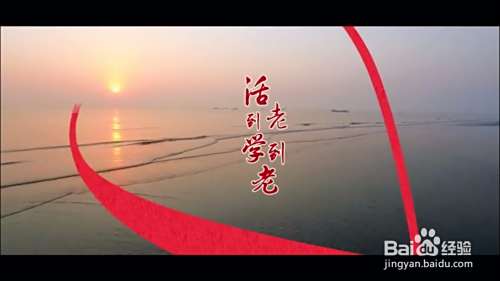 外语语种怎么填