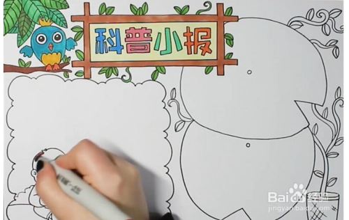 科普的手抄报