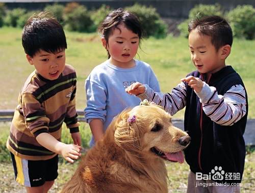 学龄前儿童教育从何入手？