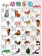 怎样教学龄前宝宝识字