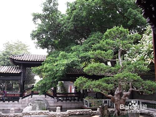 高考如何填报高考志愿