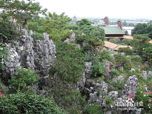 高考如何填报高考志愿