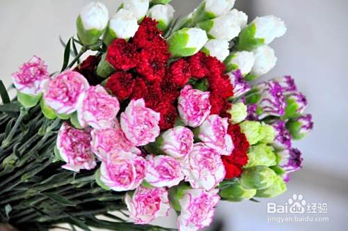 妈妈过生日，送什么好