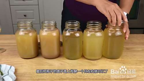 葡萄酒的酿制方法家庭