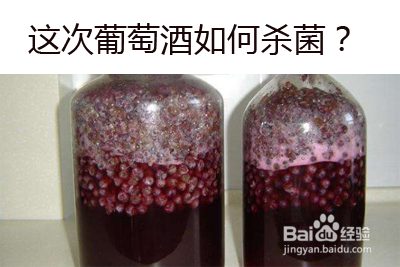 自制葡萄酒如何杀菌