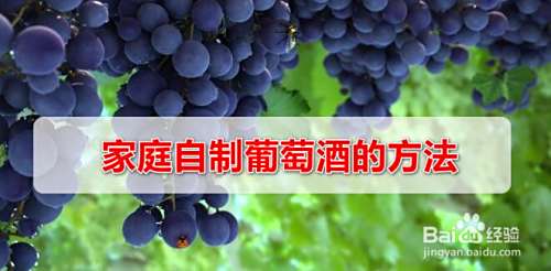 家庭自制葡萄酒的方法
