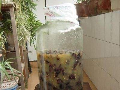 葡萄酒的酿制方法