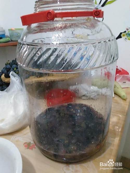 葡萄酒酿制DIY（一）