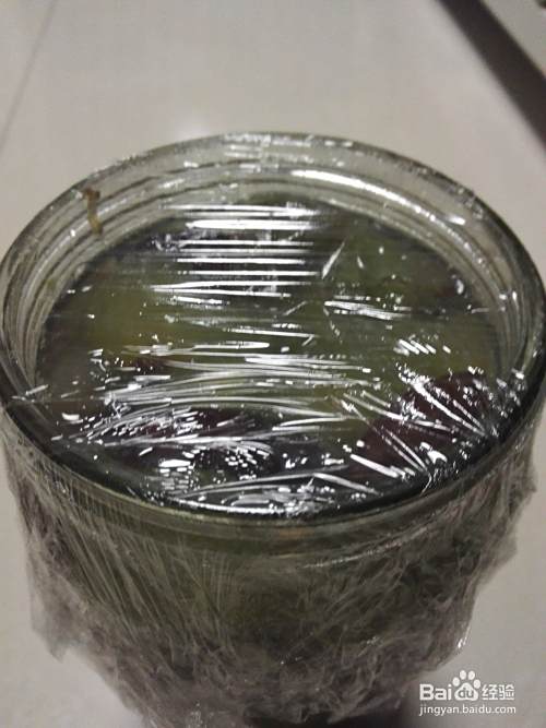 自家酿制葡萄酒