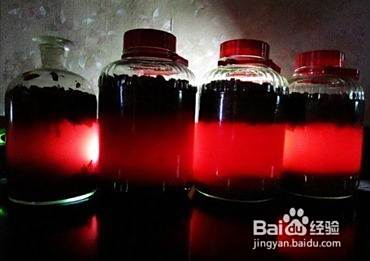 自制葡萄酒的正确方法