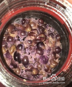 如何判断自制葡萄酒能不能喝