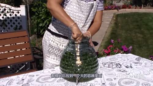 葡萄酒的酿制方法家庭