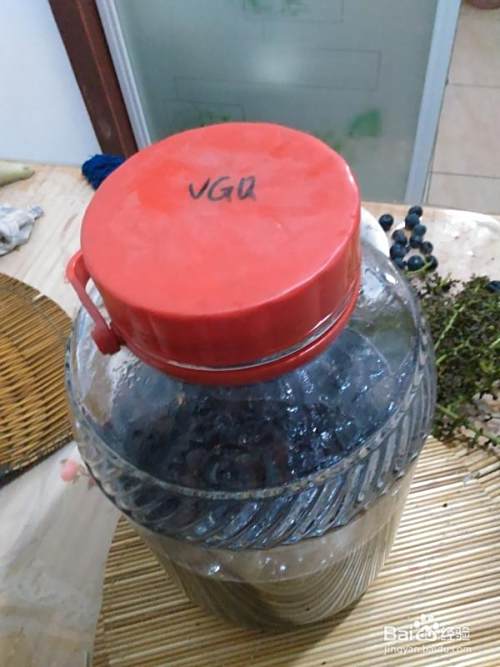 葡萄酒酿制DIY（一）