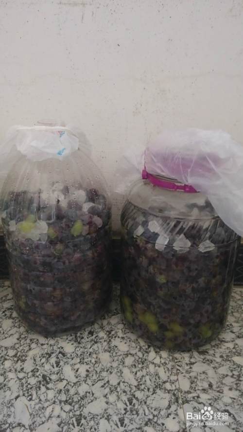 亲手酿制葡萄酒教程