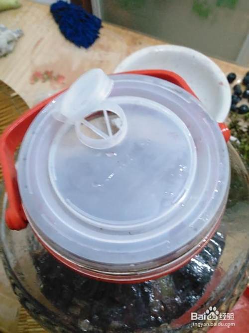 葡萄酒酿制DIY（一）