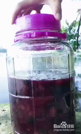 如何自己酿制葡萄酒？
