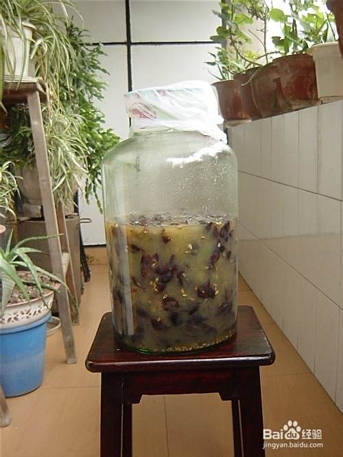 自制葡萄酒办法