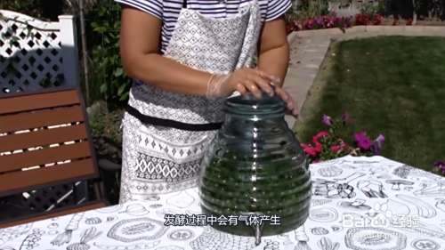 葡萄酒的酿制方法家庭