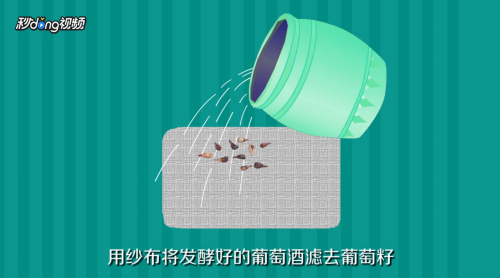 怎样用21天的时间在家酿制葡萄酒