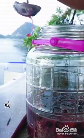 如何自己酿制葡萄酒？