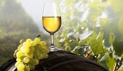 在家怎么自制葡萄酒