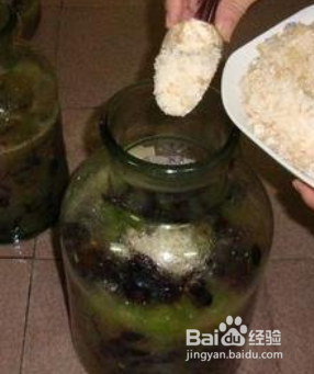 葡萄酒怎么酿制