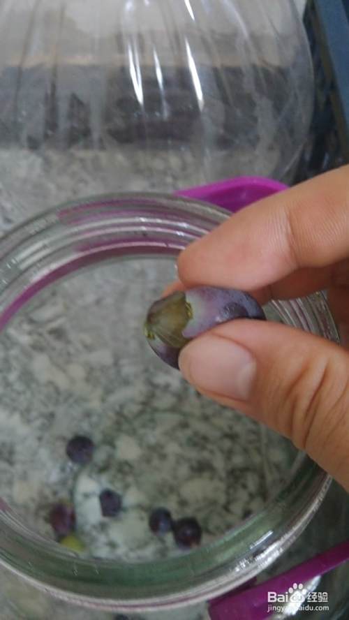 亲手酿制葡萄酒教程