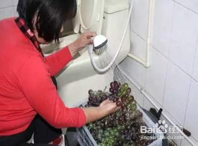 自制葡萄酒如何杀菌