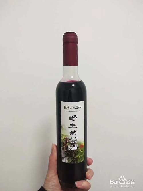 野生葡萄酒酿制