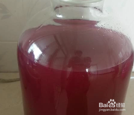 葡萄酒的酿制方法步骤