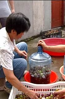 自制葡萄酒的隐患有哪些？