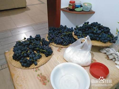 葡萄酒酿制DIY（一）