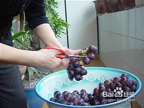 教你如何自制香甜葡萄酒