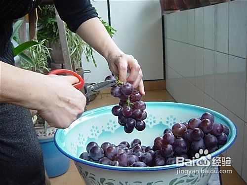 如何自制葡萄酒，葡萄酒DIY