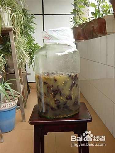 如何自制葡萄酒，葡萄酒DIY