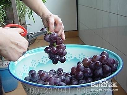 怎样自己制作(酿制)葡萄酒(方法)