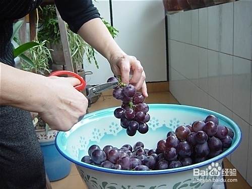 自制葡萄酒办法