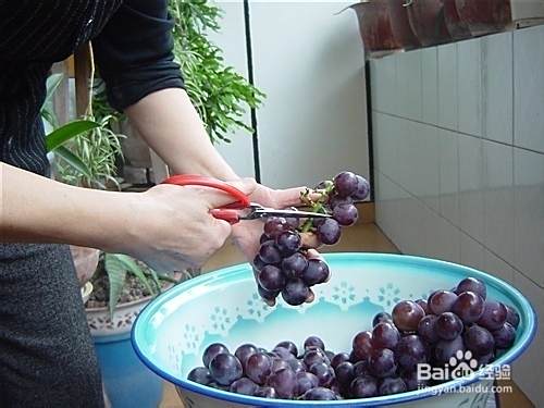自制葡萄酒办法