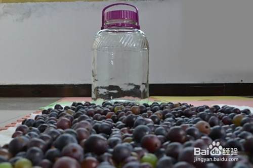 亲手酿制葡萄酒教程