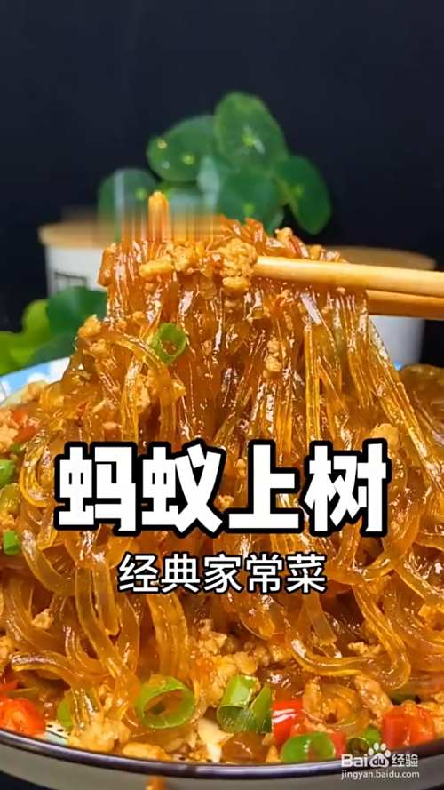 教你做经典家常菜蚂蚁上树？